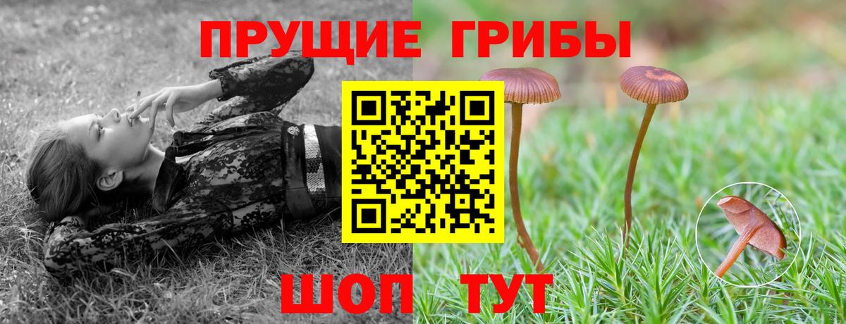 Галлюциногенные грибы MAGIC MUSHROOMS  Псилоцибиновые грибы Psilocybine cubensis  как найти   Вход с VPN  Павловский Посад 