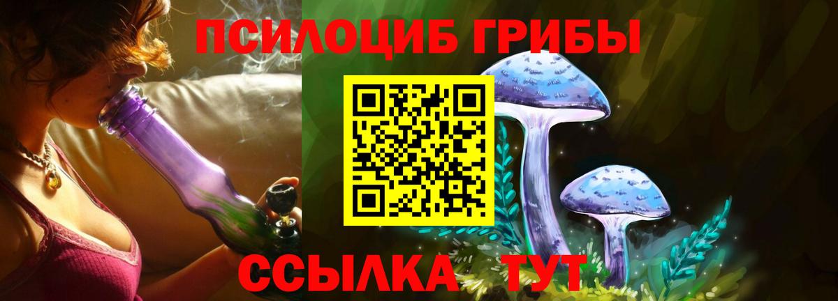 Галлюциногенные грибы прущие грибы Павловский Посад